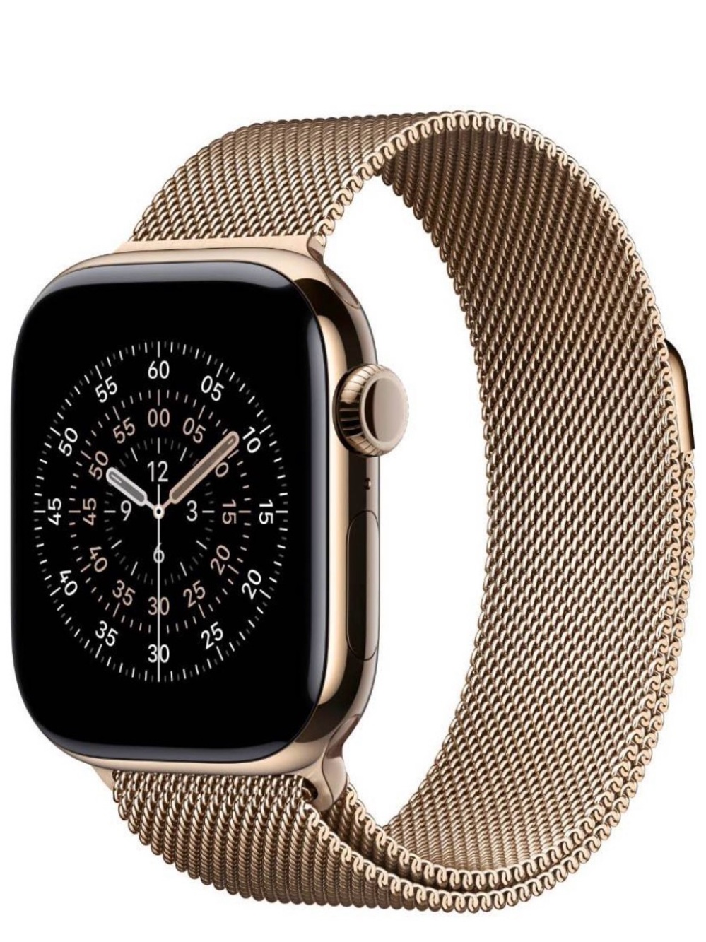 Milanese Apple Bracelet